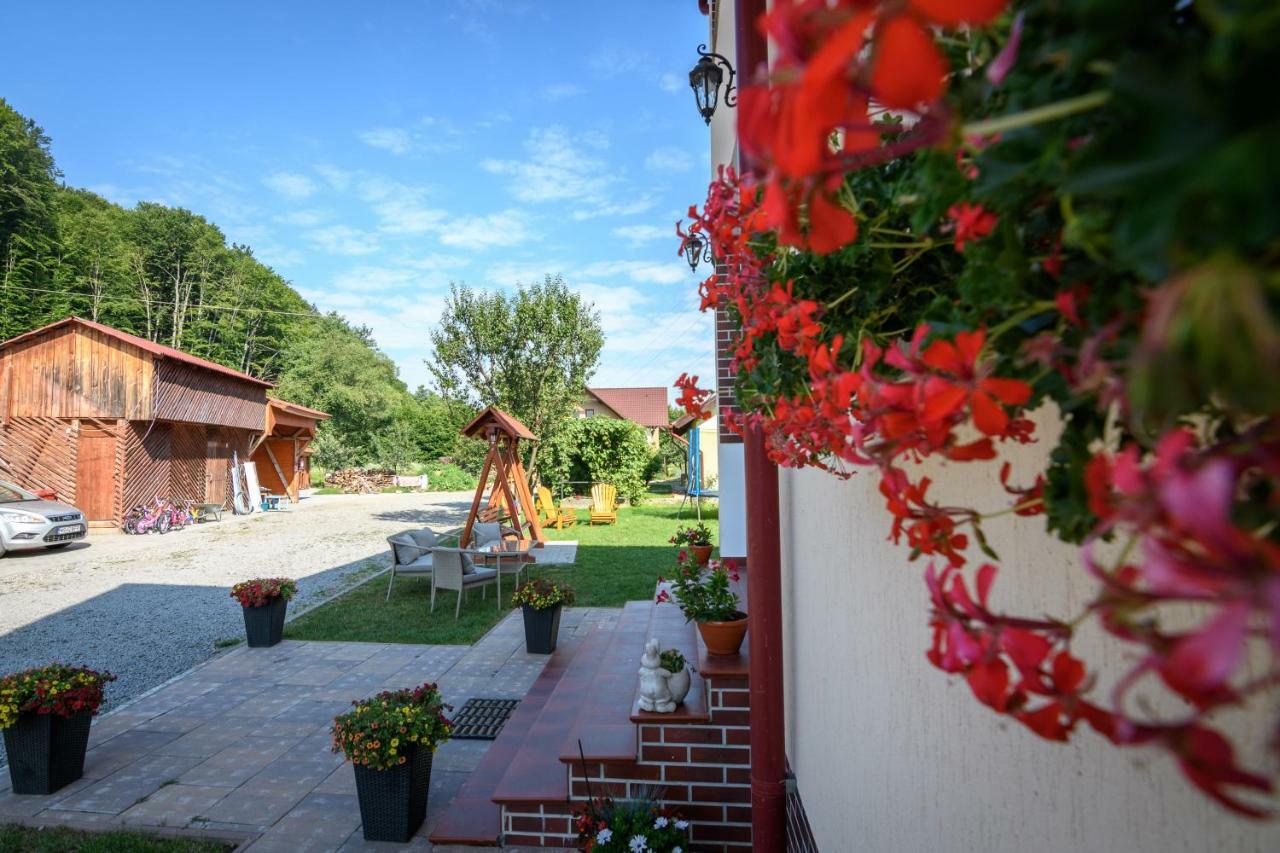 Casa Moldovan Совата Экстерьер фото