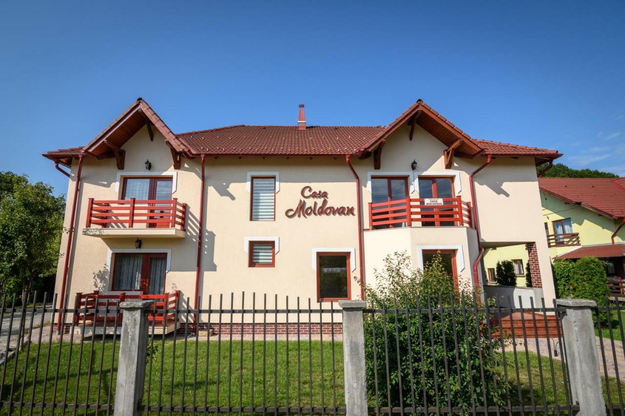 Casa Moldovan Совата Экстерьер фото