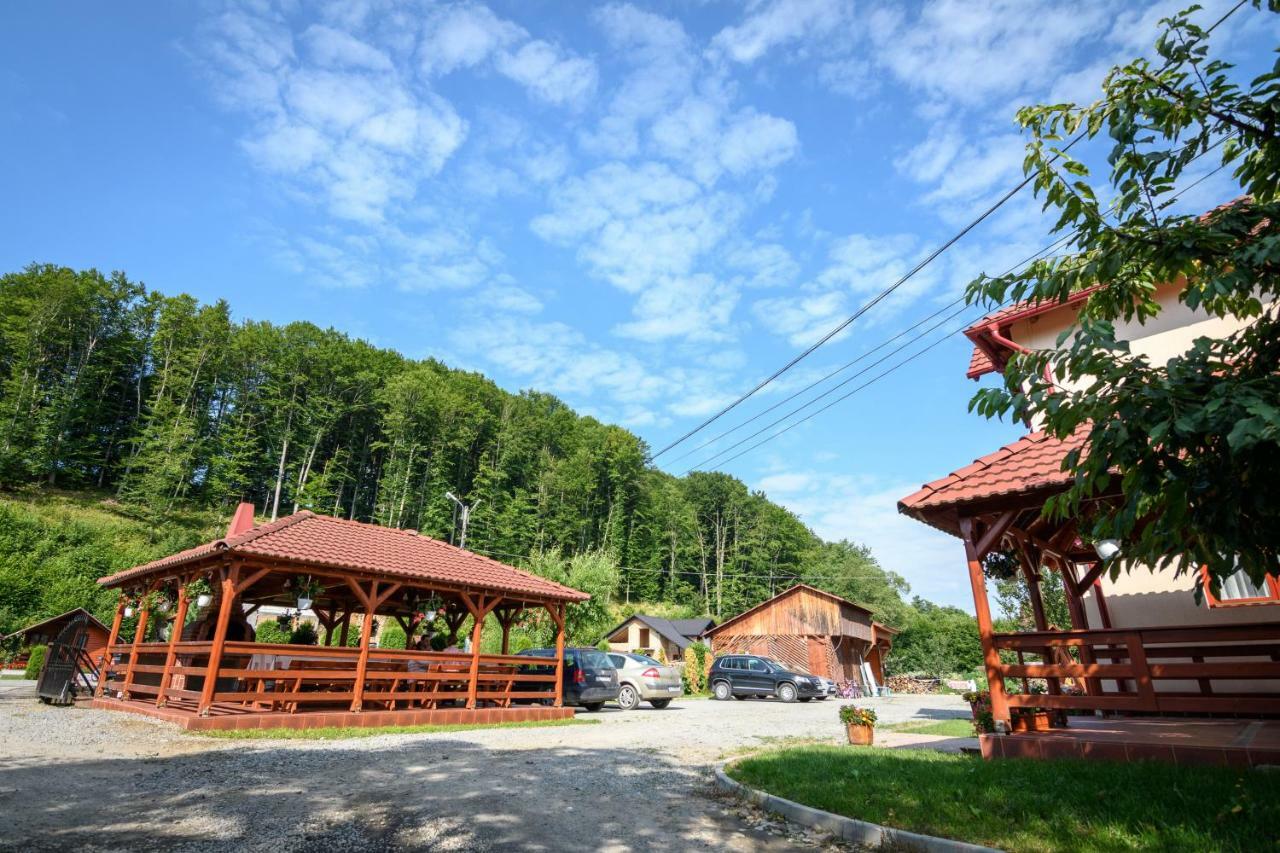 Casa Moldovan Совата Экстерьер фото