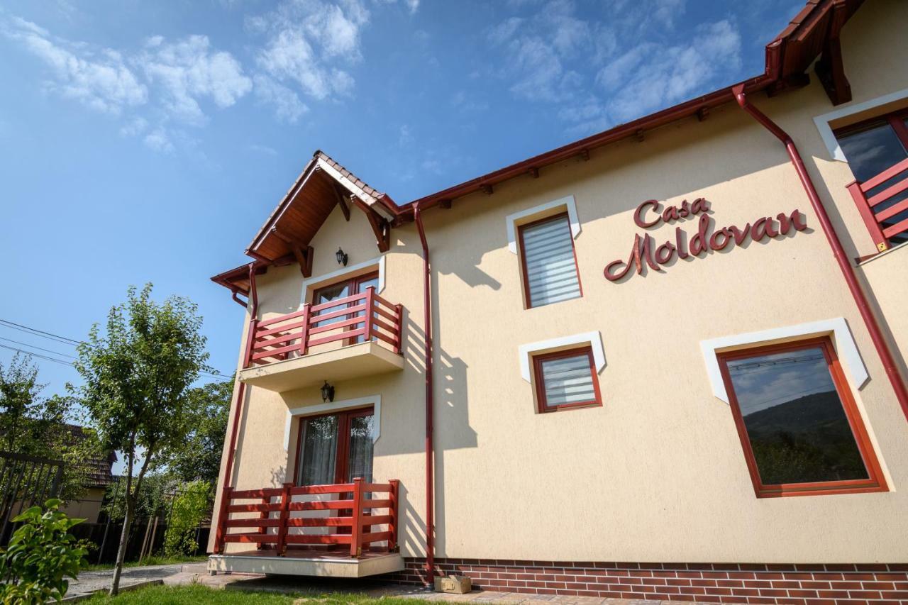 Casa Moldovan Совата Экстерьер фото